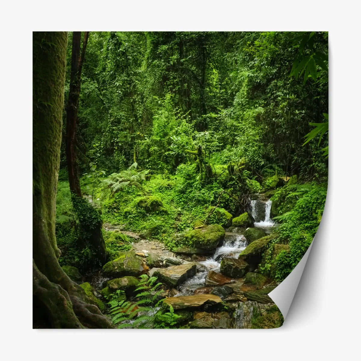 Repositionierbarer Aufkleber üppiger grüner waldwasserfall – Wallnifity®