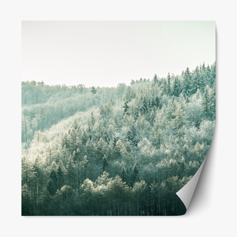 Repositionierbarer Aufkleber leuchtende tropische vögel im dschungel – Wallnifity®