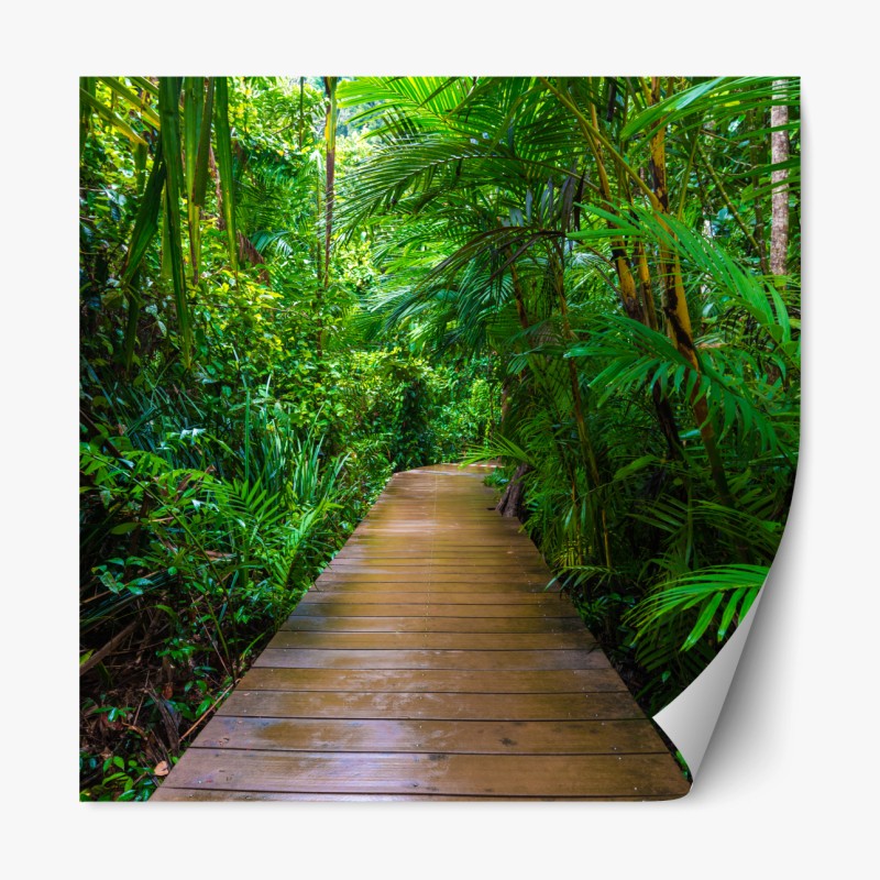 Repositionierbarer Aufkleber strand Karon, Phuket morgendliche ruhe – Wallnifity®