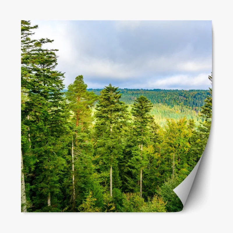 Repositionierbarer Aufkleber monochromes jet auf dem rollfeld bei nacht – Wallnifity®