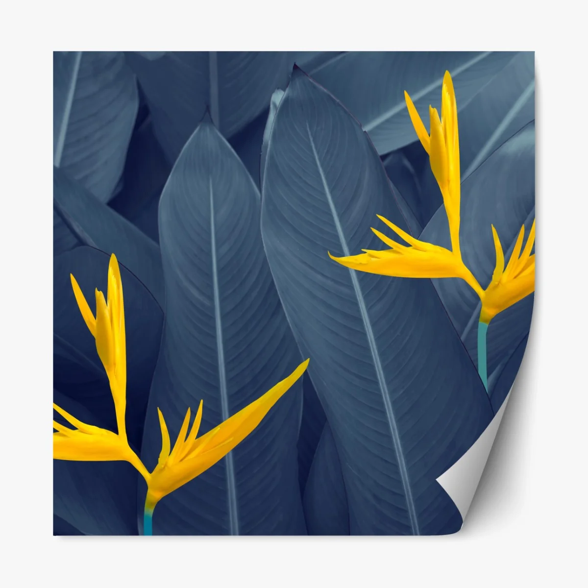 Repositionierbarer Aufkleber gelbe strelitzie auf blauen blättern – Wallnifity® Repositionierbarer Aufkleber gelbe strelitzie auf blauen blättern – Wallnifity®