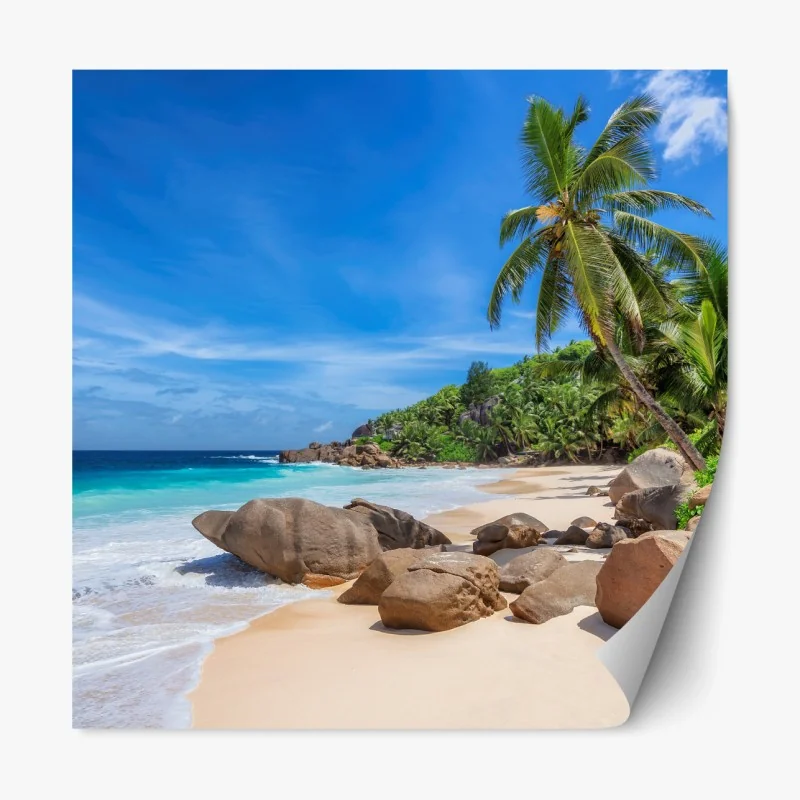 Repositionierbarer Aufkleber tropischer palmenstrand
