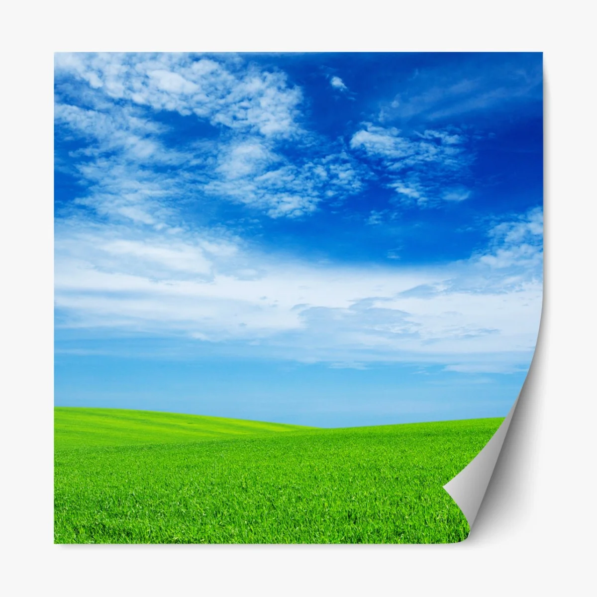 Repositionierbarer Aufkleber grüne wiese unter blauem himmel – Wallnifity® Repositionierbarer Aufkleber grüne wiese unter blauem himmel – Wallnifity®