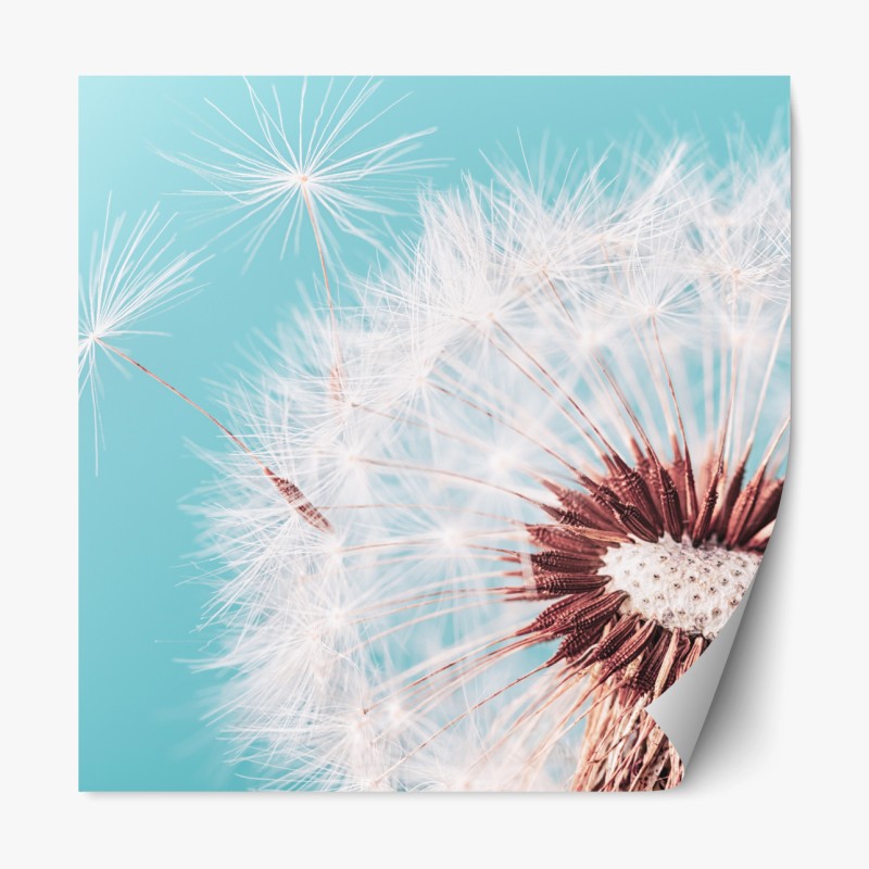 Repositionierbarer Aufkleber verspieltes türkisfarbenes abstraktes muster – Wallnifity®