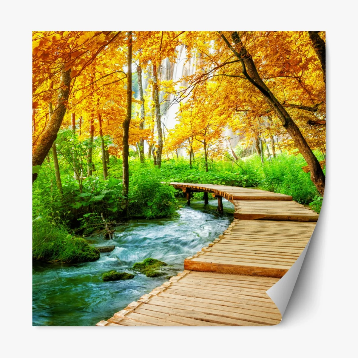 Repositionierbarer Aufkleber goldener steg durch den wald bei Plitvicer Seen – Wallnifity® Repositionierbarer Aufkleber goldener steg durch den wald bei Plitvicer Seen – Wallnifity®