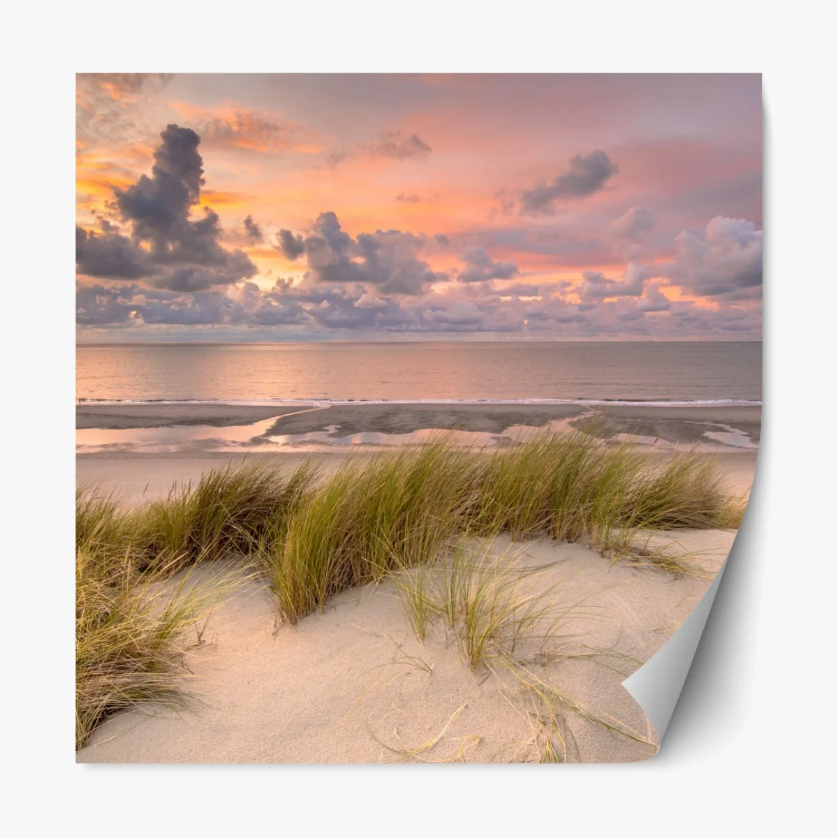 Repositionierbarer Aufkleber sonnenuntergang über dünen in Zeeland – Wallnifity® Repositionierbarer Aufkleber sonnenuntergang über dünen in Zeeland – Wallnifity®