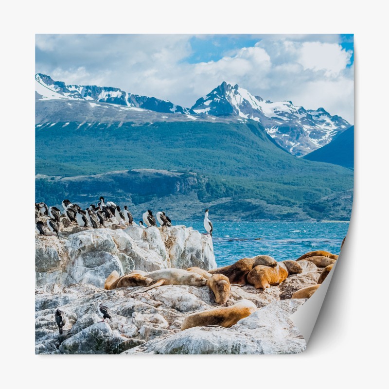 Repositionierbarer Aufkleber pastell meerjungfrauen schuppenmuster – Wallnifity®