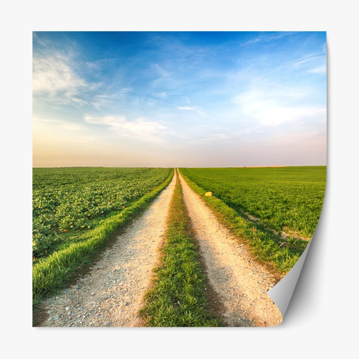 Repositionierbarer Aufkleber feldweg durch grüne felder – Wallnifity®