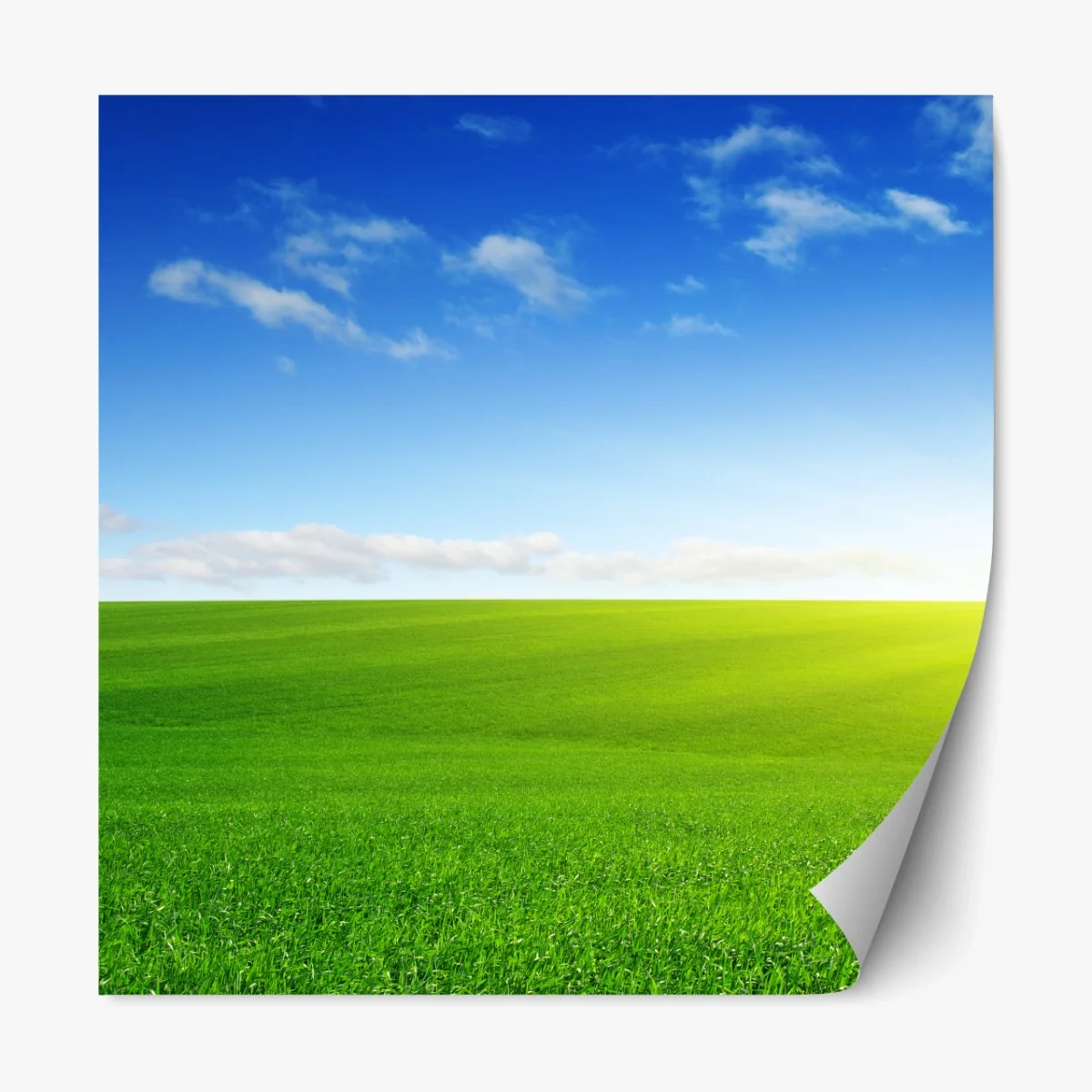 Repositionierbarer Aufkleber sonnenbeschienene grüne wiese im morgenlicht – Wallnifity® Repositionierbarer Aufkleber sonnenbeschienene grüne wiese im morgenlicht – Wallnifity®