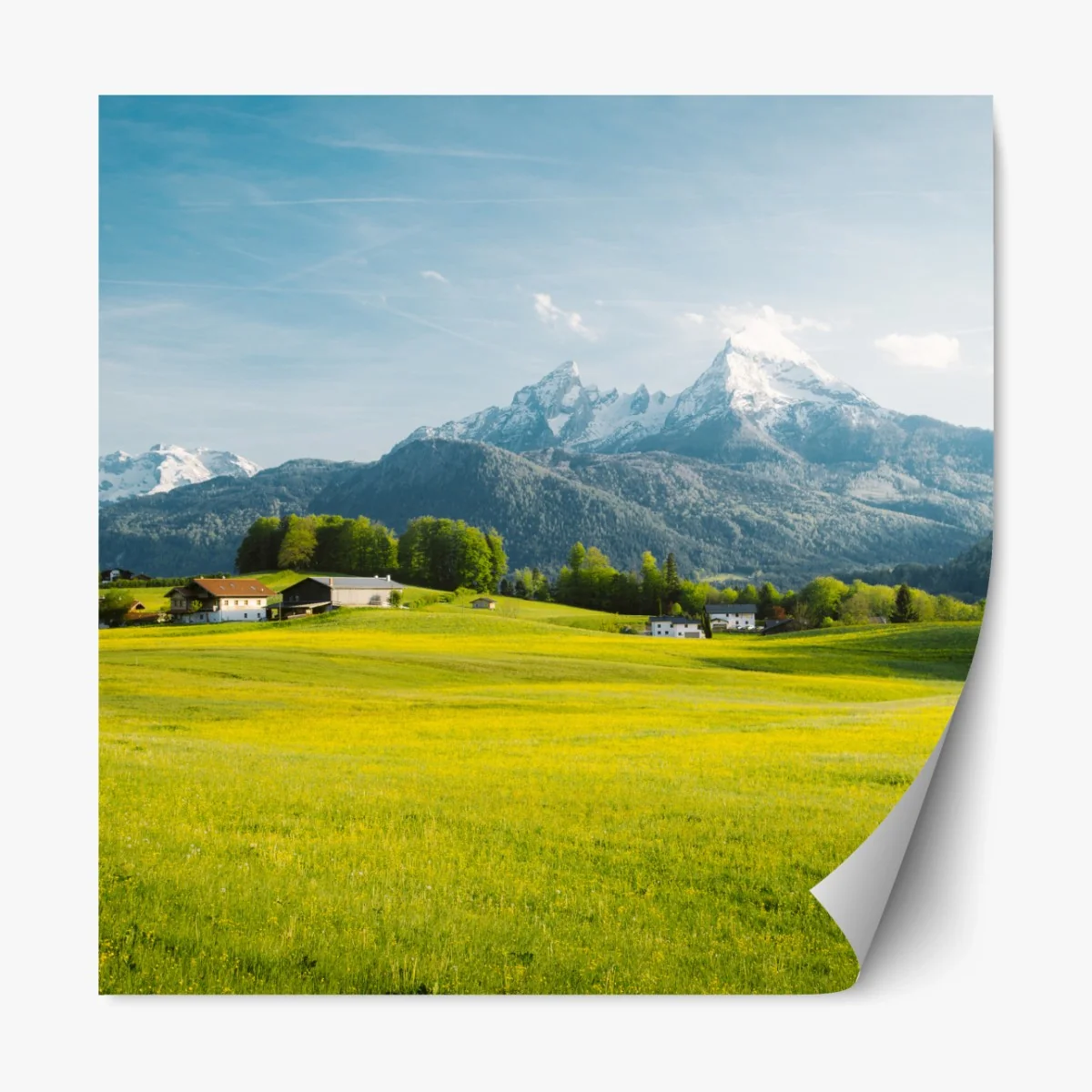 Repositionierbarer Aufkleber alpwiese unter schneebedeckten gipfeln – Wallnifity®