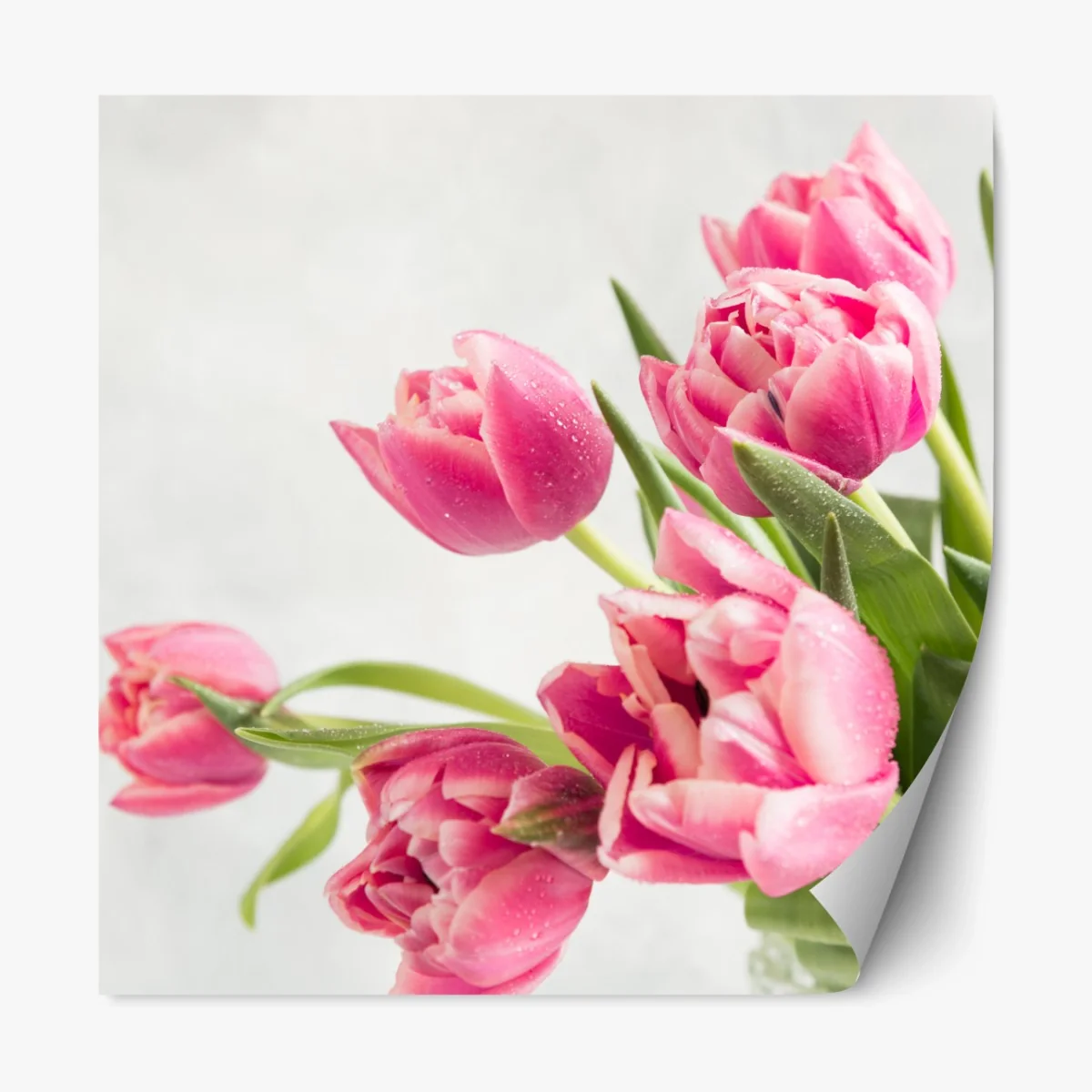 Repositionierbarer Aufkleber eleganter strauß rosa tulpen – Wallnifity® Repositionierbarer Aufkleber eleganter strauß rosa tulpen – Wallnifity®