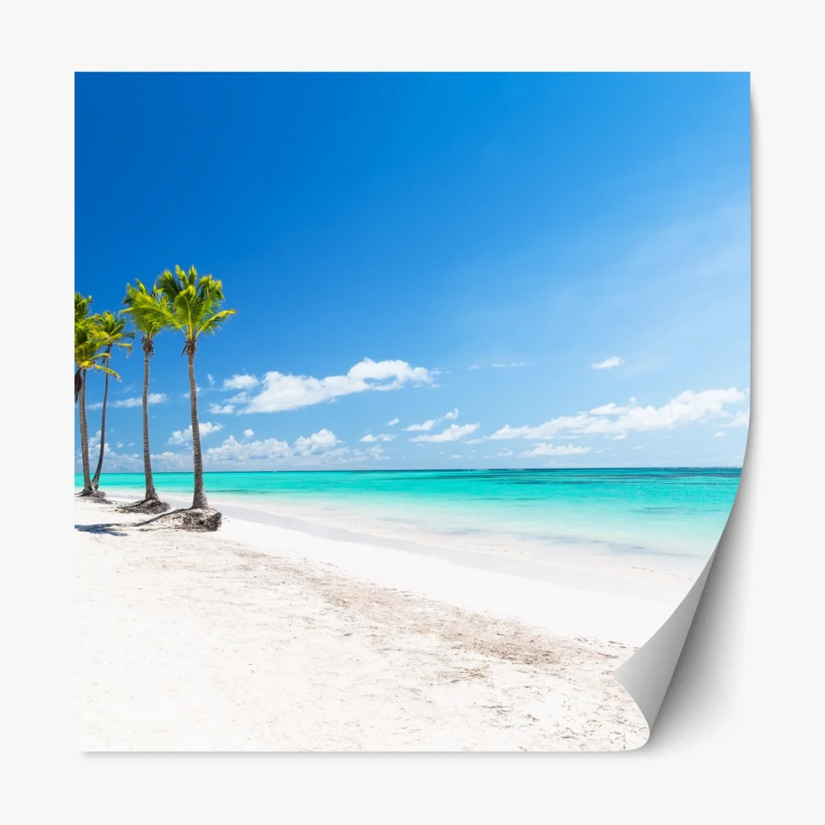 Repositionierbarer Aufkleber palmen am strand von Punta Cana – Wallnifity® Repositionierbarer Aufkleber palmen am strand von Punta Cana – Wallnifity®