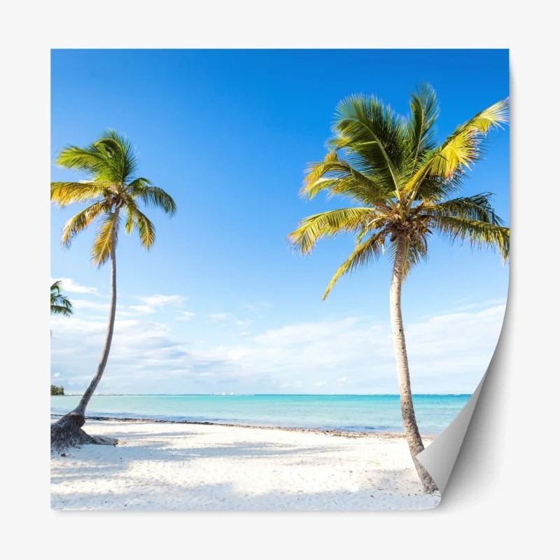 Repositionierbarer Aufkleber sonnenbeschienener waldweg am morgen – Wallnifity®