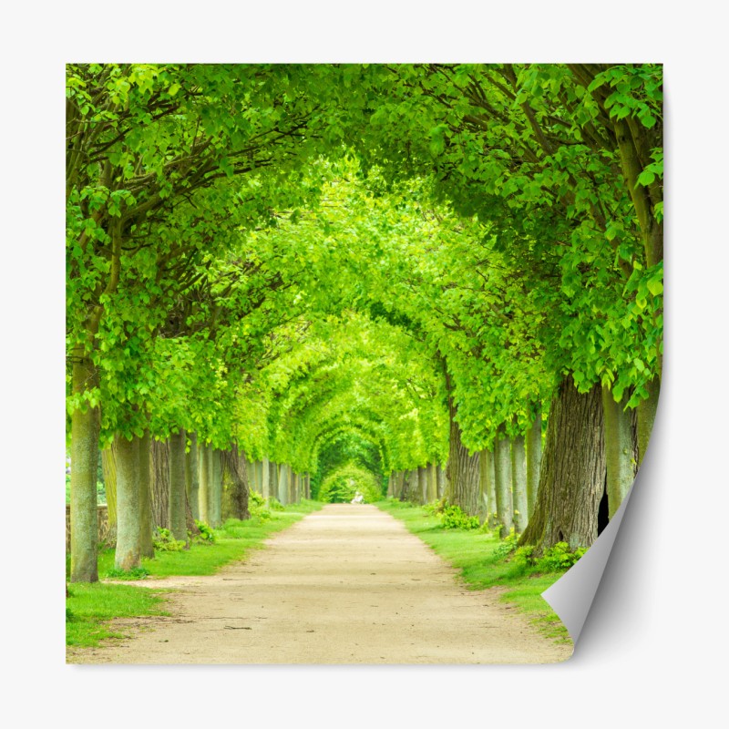 Repositionierbarer Aufkleber sonnenbeschienene wiese im abendlicht – Wallnifity®