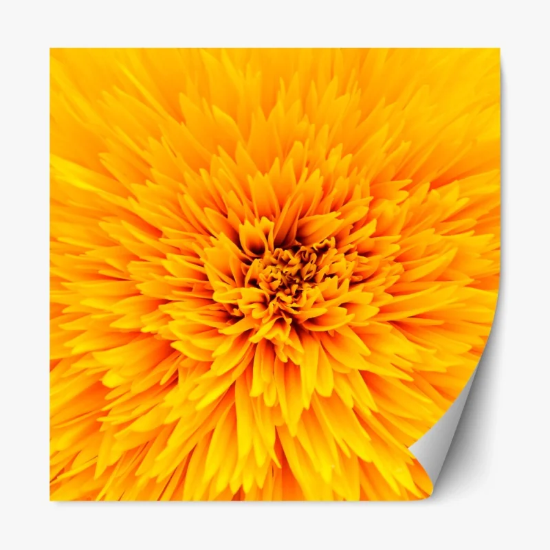 Repositionierbarer Aufkleber sonnenbeschienenes Santorini-dorf am meer – Wallnifity®