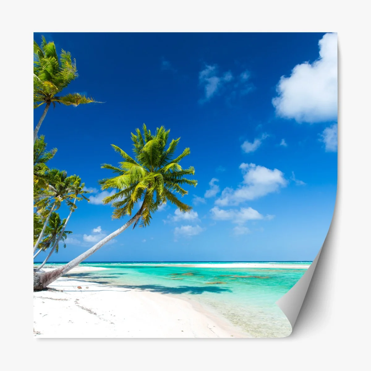 Repositionierbarer Aufkleber tropischer strand mit palmen und türkisfarbenem wasser – Wallnifity® Repositionierbarer Aufkleber tropischer strand mit palmen und türkisfarbenem wasser – Wallnifity®