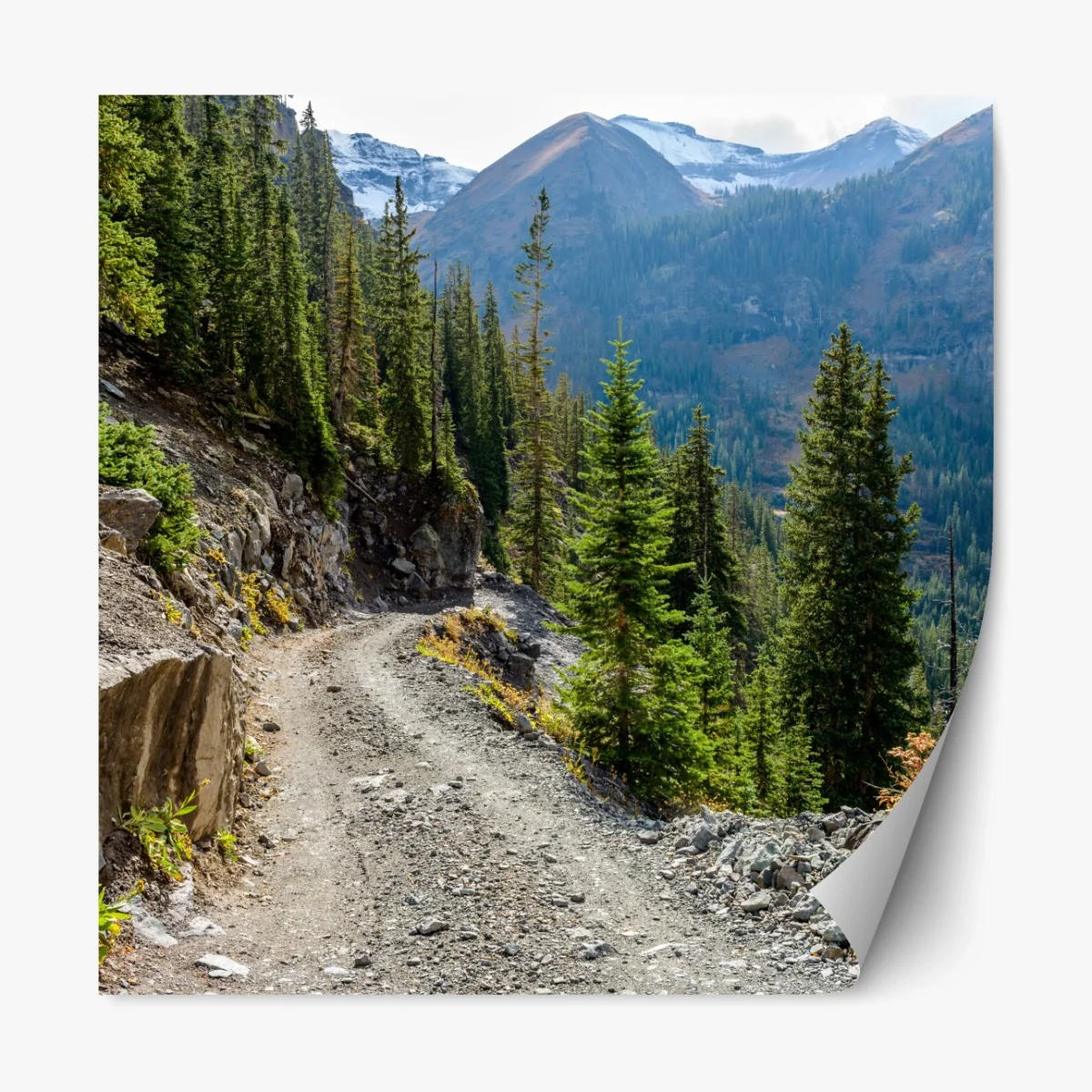 Repositionierbarer Aufkleber bergpfad durch alpinen wald – Wallnifity® Repositionierbarer Aufkleber bergpfad durch alpinen wald – Wallnifity®