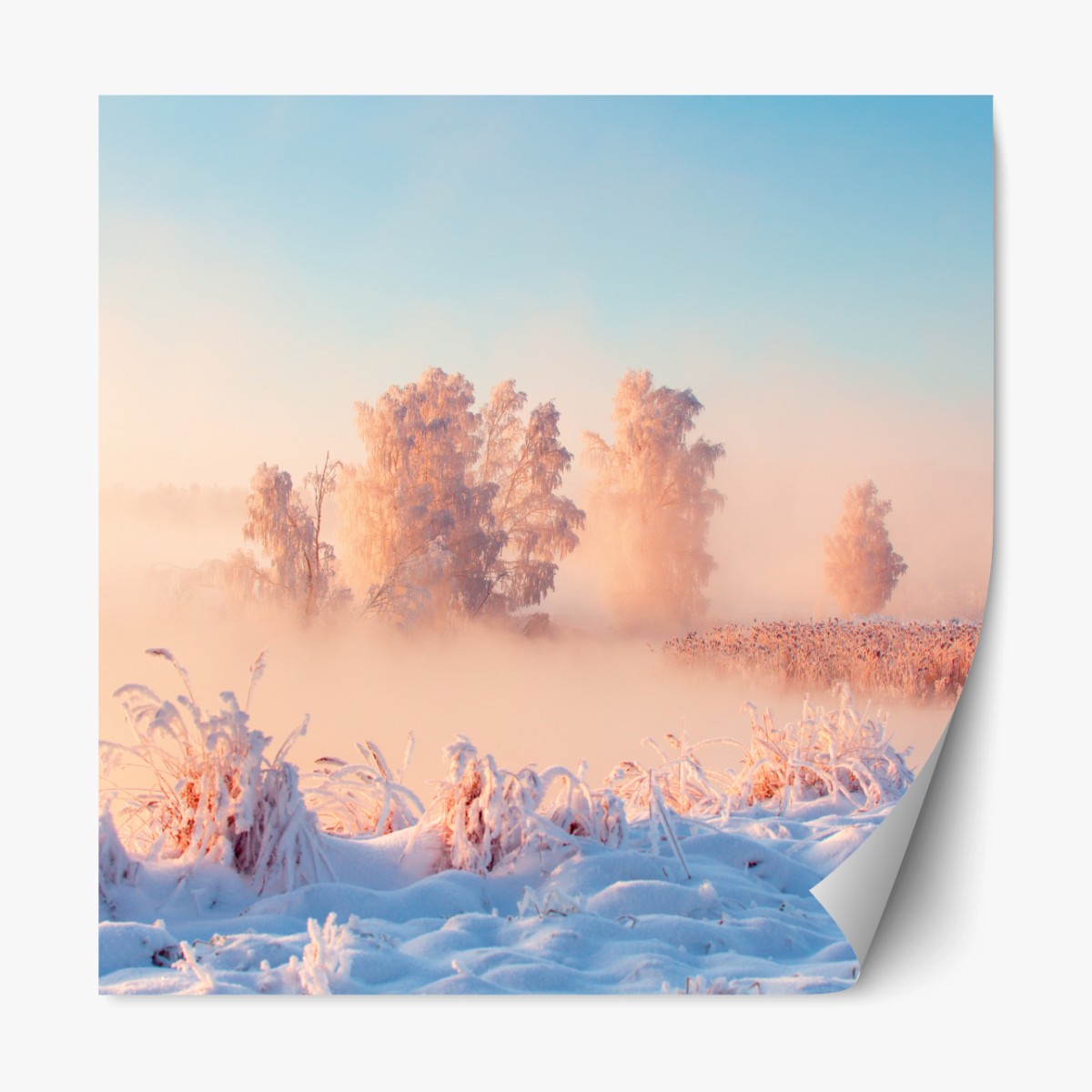 Repositionierbarer Aufkleber winterlicher sonnenaufgang über einer frostigen wiese – Wallnifity® Repositionierbarer Aufkleber winterlicher sonnenaufgang über einer frostigen wiese – Wallnifity®