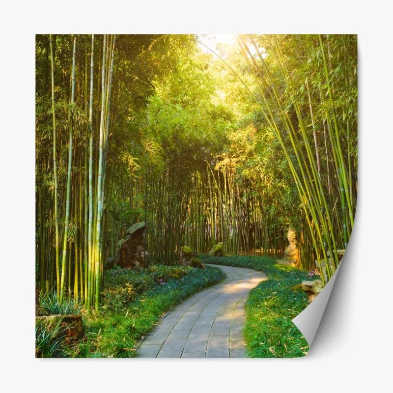 Repositionierbarer Aufkleber nebliger kiefernwald im morgengrauen – Wallnifity®