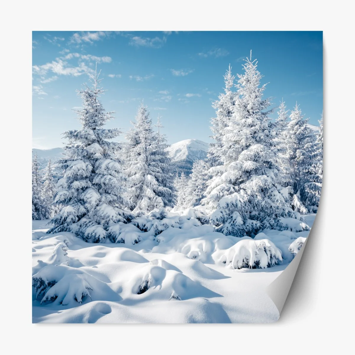 Repositionierbarer Aufkleber winterruhe in den Karpaten – Wallnifity® Repositionierbarer Aufkleber winterruhe in den Karpaten – Wallnifity®