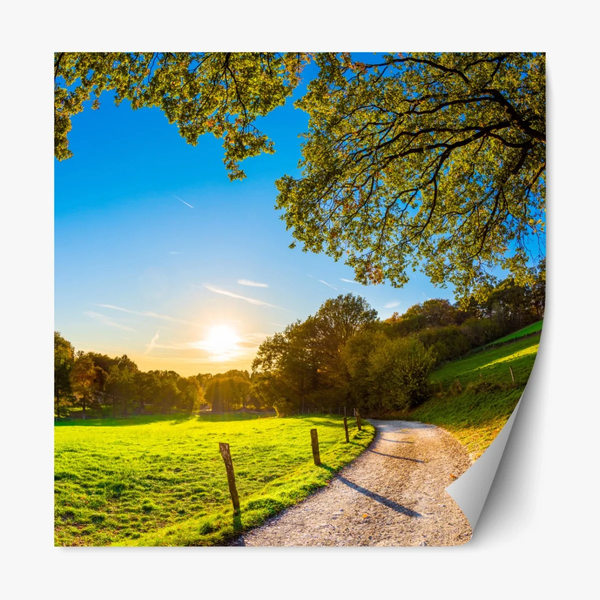 Repositionierbarer Aufkleber sonnenbeschienene wiese mit landweg bei sonnenuntergang – Wallnifity® Repositionierbarer Aufkleber sonnenbeschienene wiese mit landweg bei sonnenuntergang – Wallnifity®