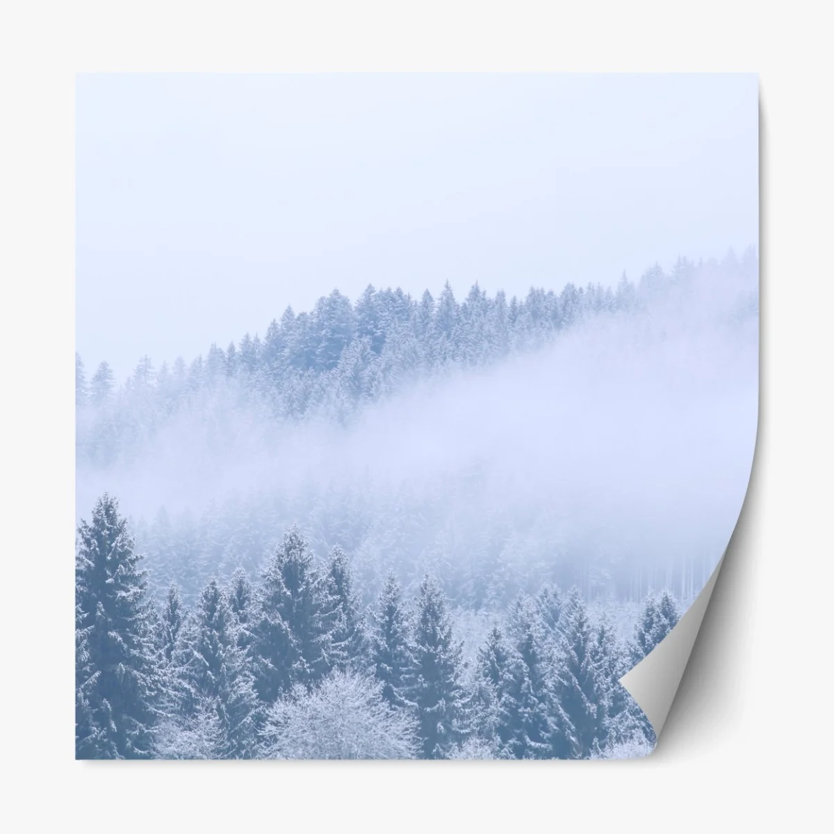 Repositionierbarer Aufkleber winternebel über nadelwald – Wallnifity® Repositionierbarer Aufkleber winternebel über nadelwald – Wallnifity®