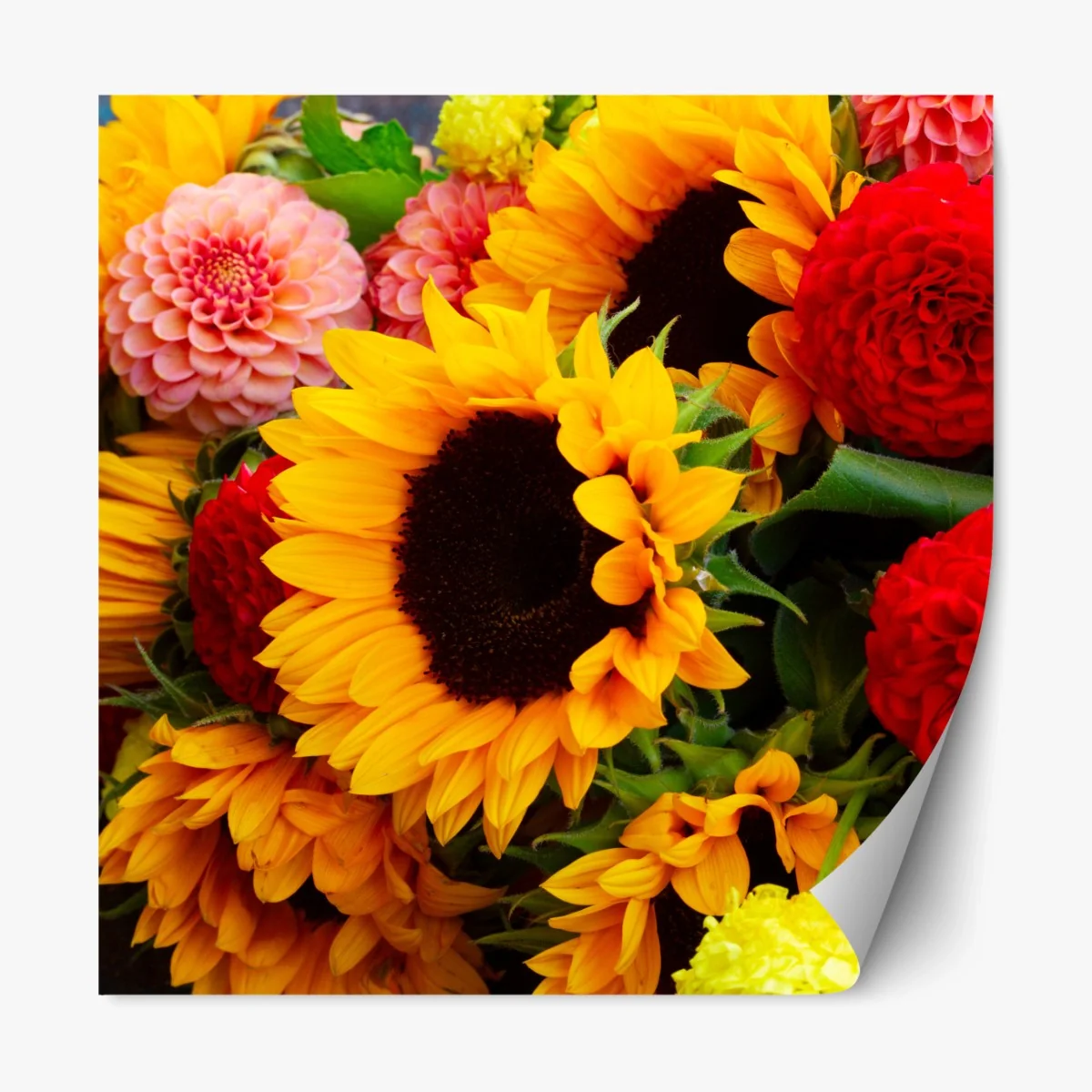 Repositionierbarer Aufkleber nahaufnahme sonnenblumen- und dahlienstrauß – Wallnifity® Repositionierbarer Aufkleber nahaufnahme sonnenblumen- und dahlienstrauß – Wallnifity®