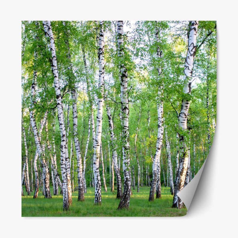 Repositionierbarer Aufkleber dunkle schiefertextur – Wallnifity®