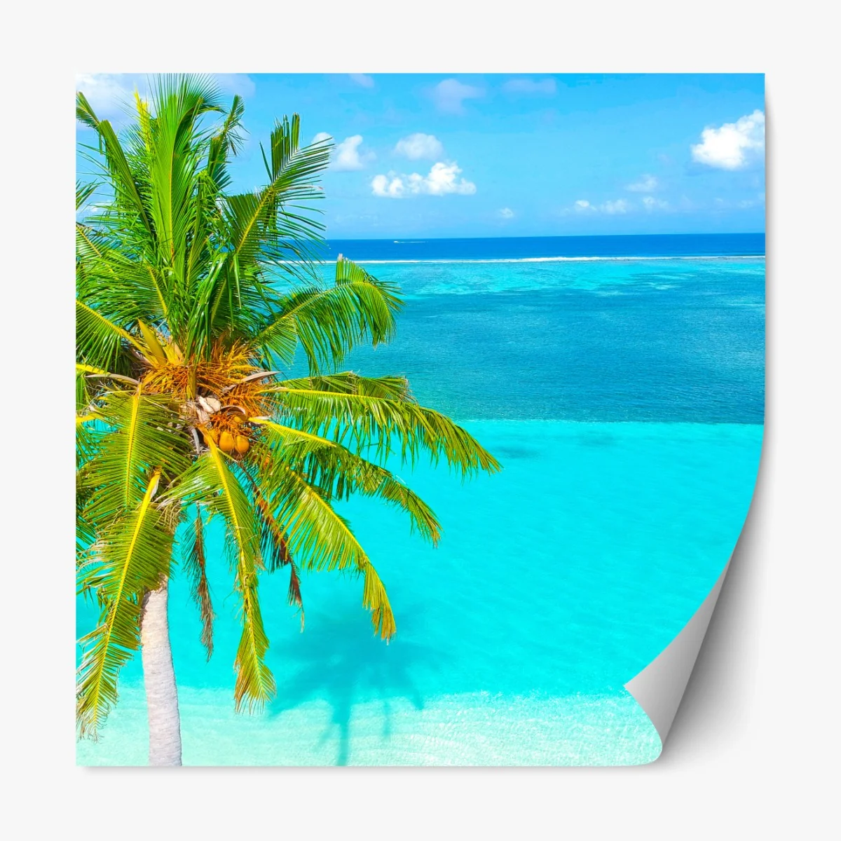Repositionierbarer Aufkleber tropischer türkisstrand mit palme – Wallnifity® Repositionierbarer Aufkleber tropischer türkisstrand mit palme – Wallnifity®