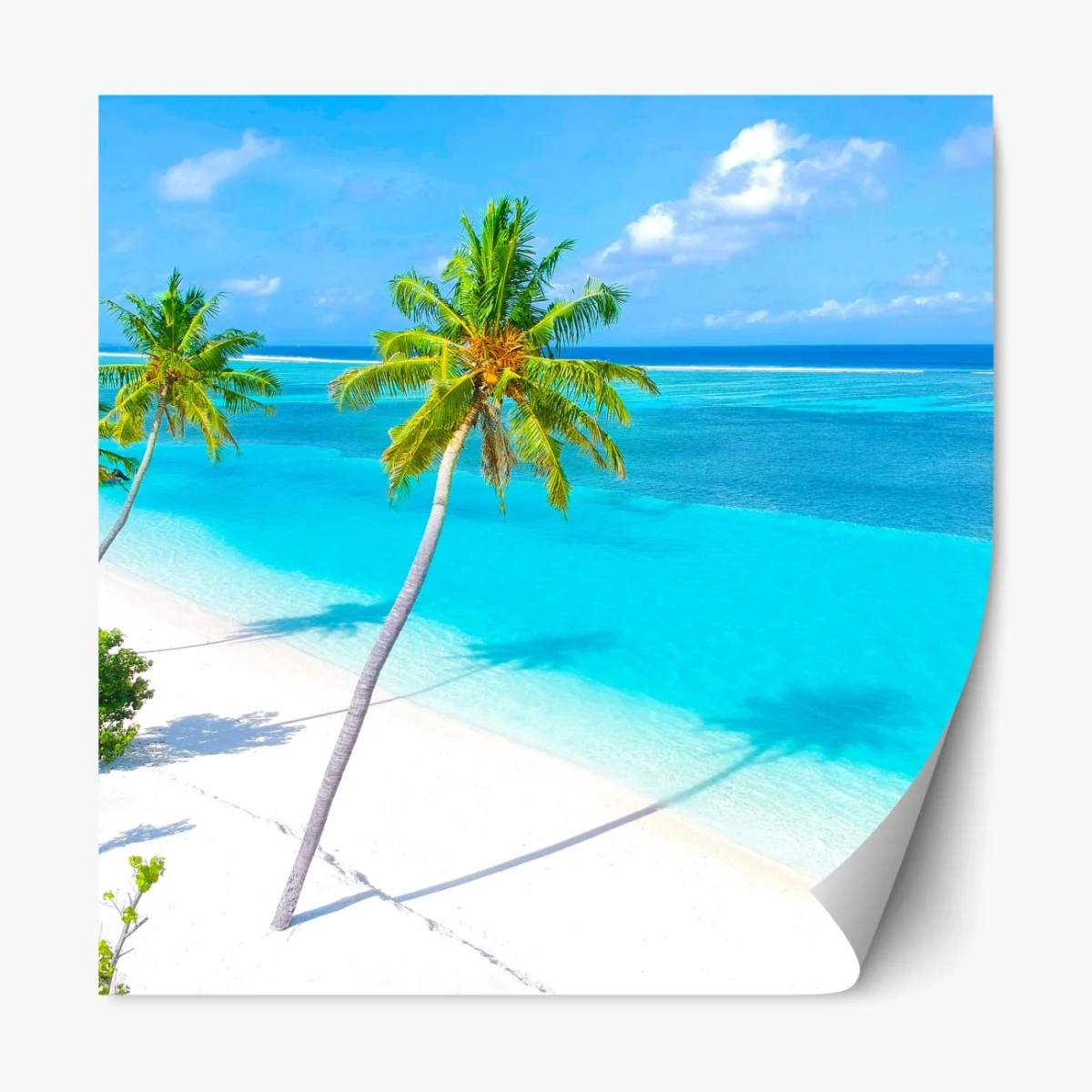 Repositionierbarer Aufkleber tropischer türkisfarbener strand mit palmen – Wallnifity®