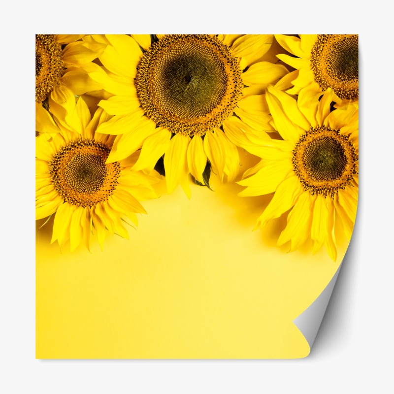 Repositionierbarer Aufkleber türkisfarbener alpensee bei Cervinia – Wallnifity®