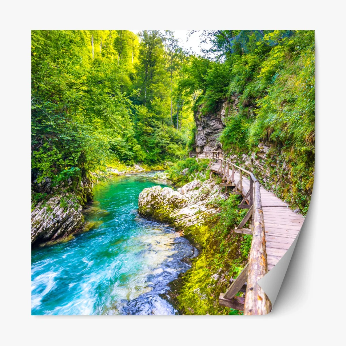 Repositionierbarer Aufkleber türkisfarbener fluss und holzsteg im wald – Wallnifity® Repositionierbarer Aufkleber türkisfarbener fluss und holzsteg im wald – Wallnifity®