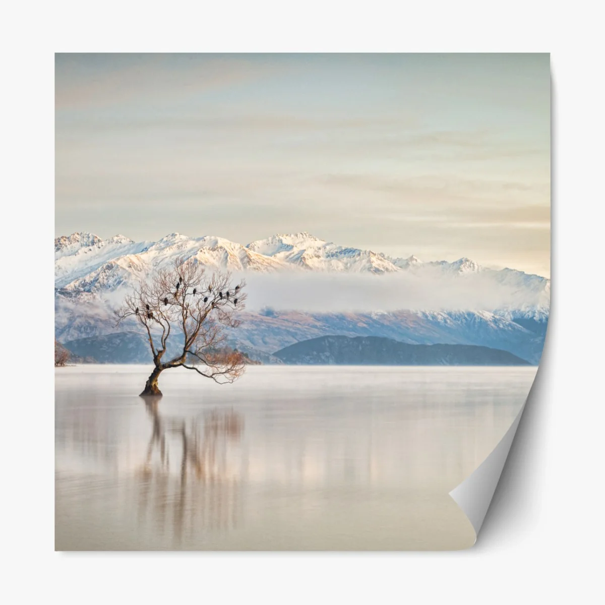 Repositionierbarer Aufkleber einsamer baum am see Wanaka – Wallnifity® Repositionierbarer Aufkleber einsamer baum am see Wanaka – Wallnifity®