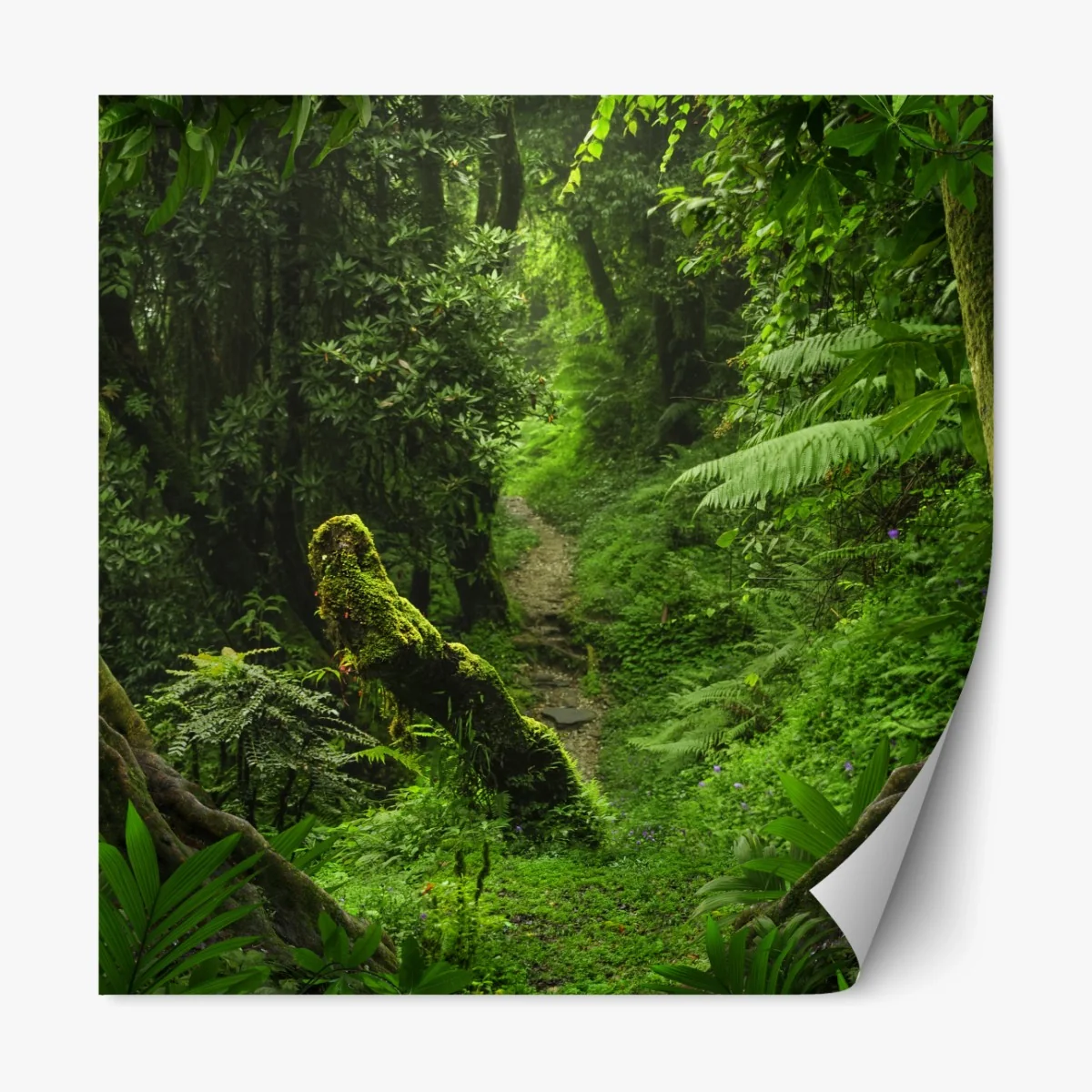 Repositionierbarer Aufkleber verzauberter moosiger waldpfad – Wallnifity® Repositionierbarer Aufkleber verzauberter moosiger waldpfad – Wallnifity®