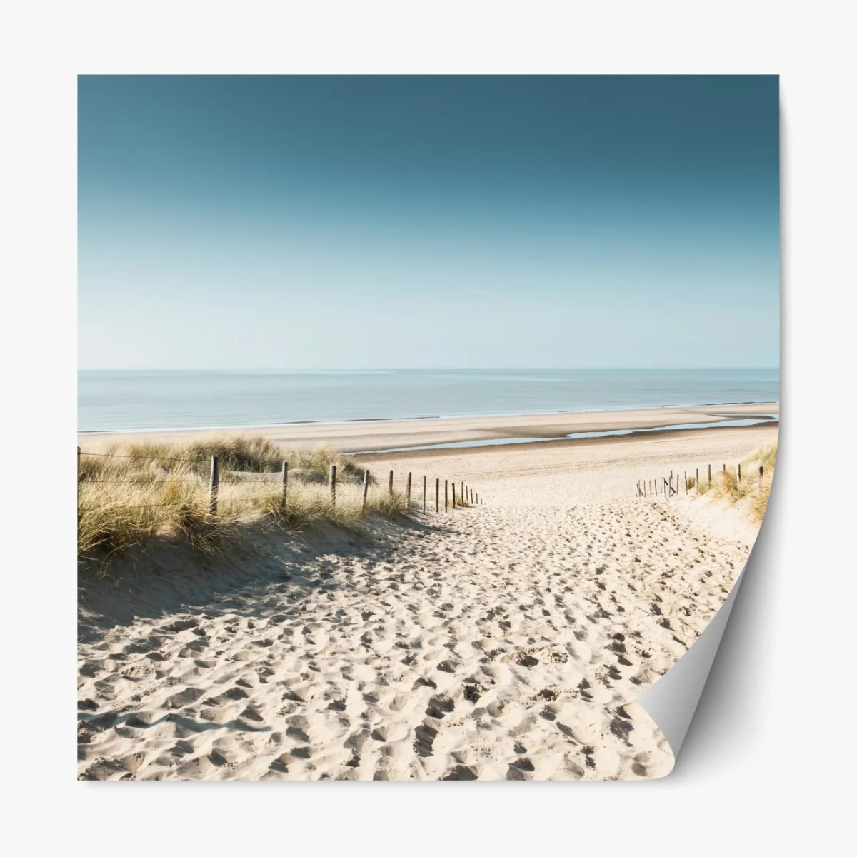 Repositionierbarer Aufkleber sanddünen und ruhige Nordsee bei Noordwijk – Wallnifity® Repositionierbarer Aufkleber sanddünen und ruhige Nordsee bei Noordwijk – Wallnifity®