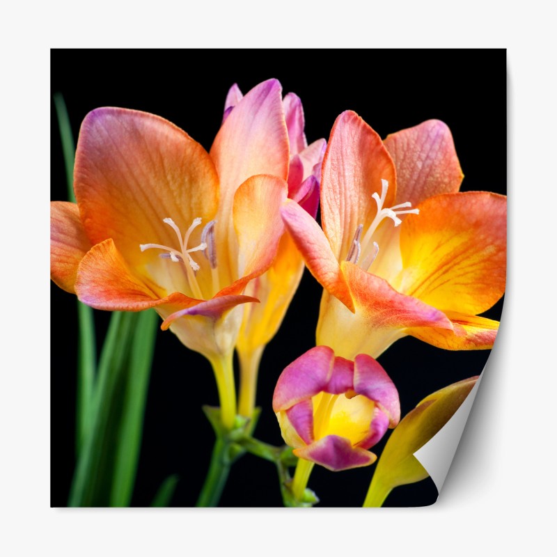 Repositionierbarer Aufkleber türkis wellenmuster für das interieur – Wallnifity®