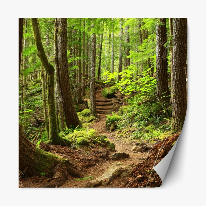 Repositionierbarer Aufkleber üppige grüne blätter – Wallnifity®