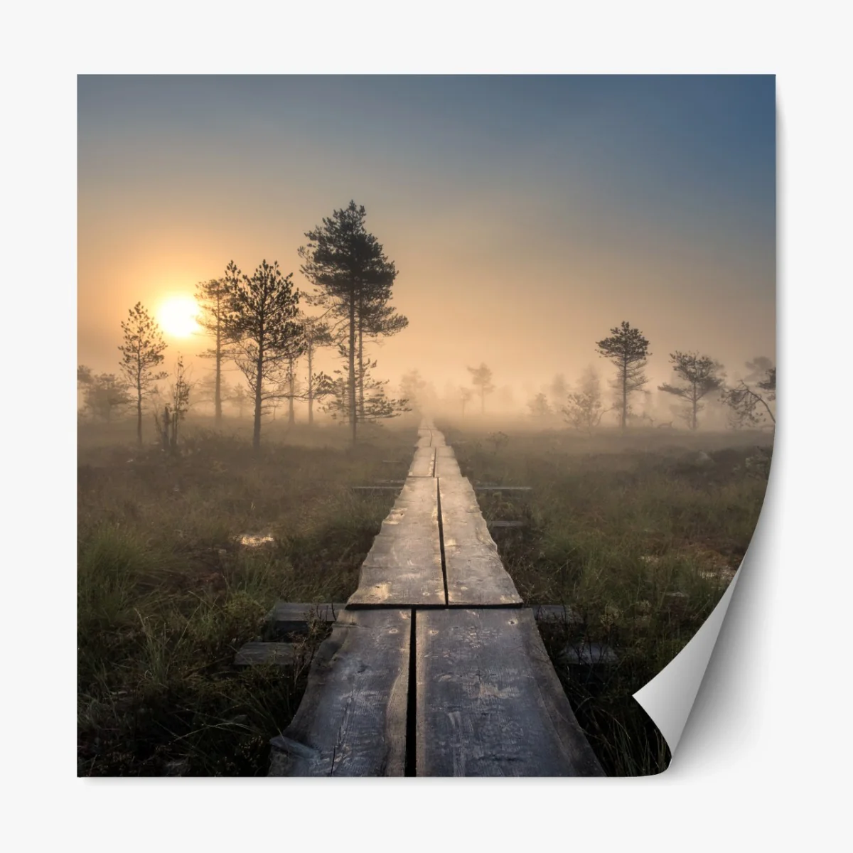 Repositionierbarer Aufkleber nebliger sonnenaufgang über dem holzsteg – Wallnifity® Repositionierbarer Aufkleber nebliger sonnenaufgang über dem holzsteg – Wallnifity®