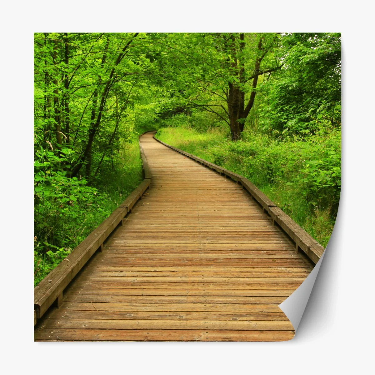 Repositionierbarer Aufkleber ruhiger holzsteg im wald – Wallnifity® Repositionierbarer Aufkleber ruhiger holzsteg im wald – Wallnifity®