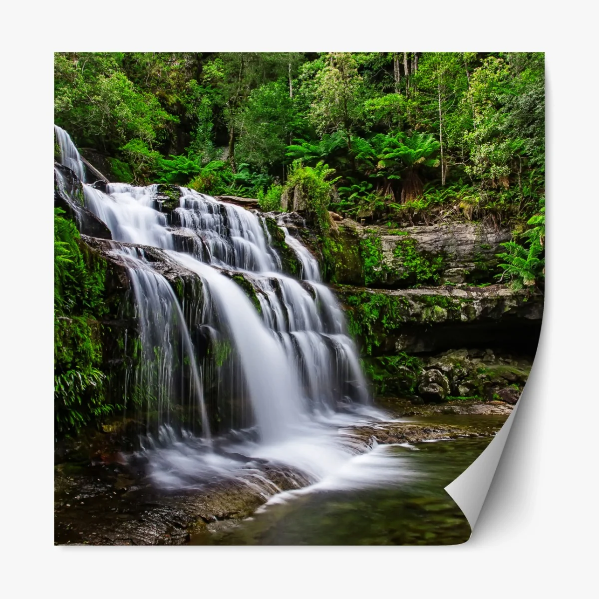 Repositionierbarer Aufkleber wasserfall Liffey Falls im üppigen Regenwald von Tasmanien – Wallnifity®