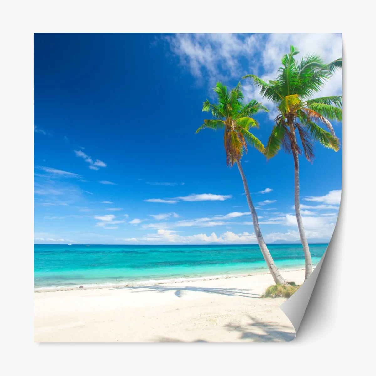 Repositionierbarer Aufkleber tropische palmen an einem türkisfarbenen strand – Wallnifity® Repositionierbarer Aufkleber tropische palmen an einem türkisfarbenen strand – Wallnifity®