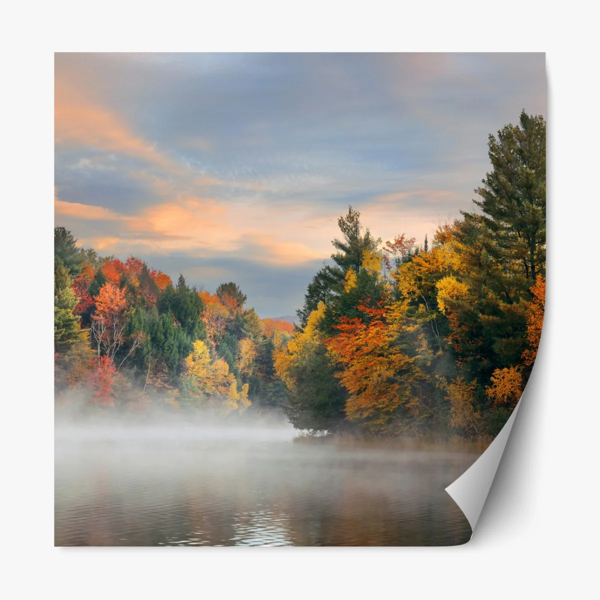 Repositionierbarer Aufkleber nebliger herbstmorgen in Stowe – Wallnifity® Repositionierbarer Aufkleber nebliger herbstmorgen in Stowe – Wallnifity®