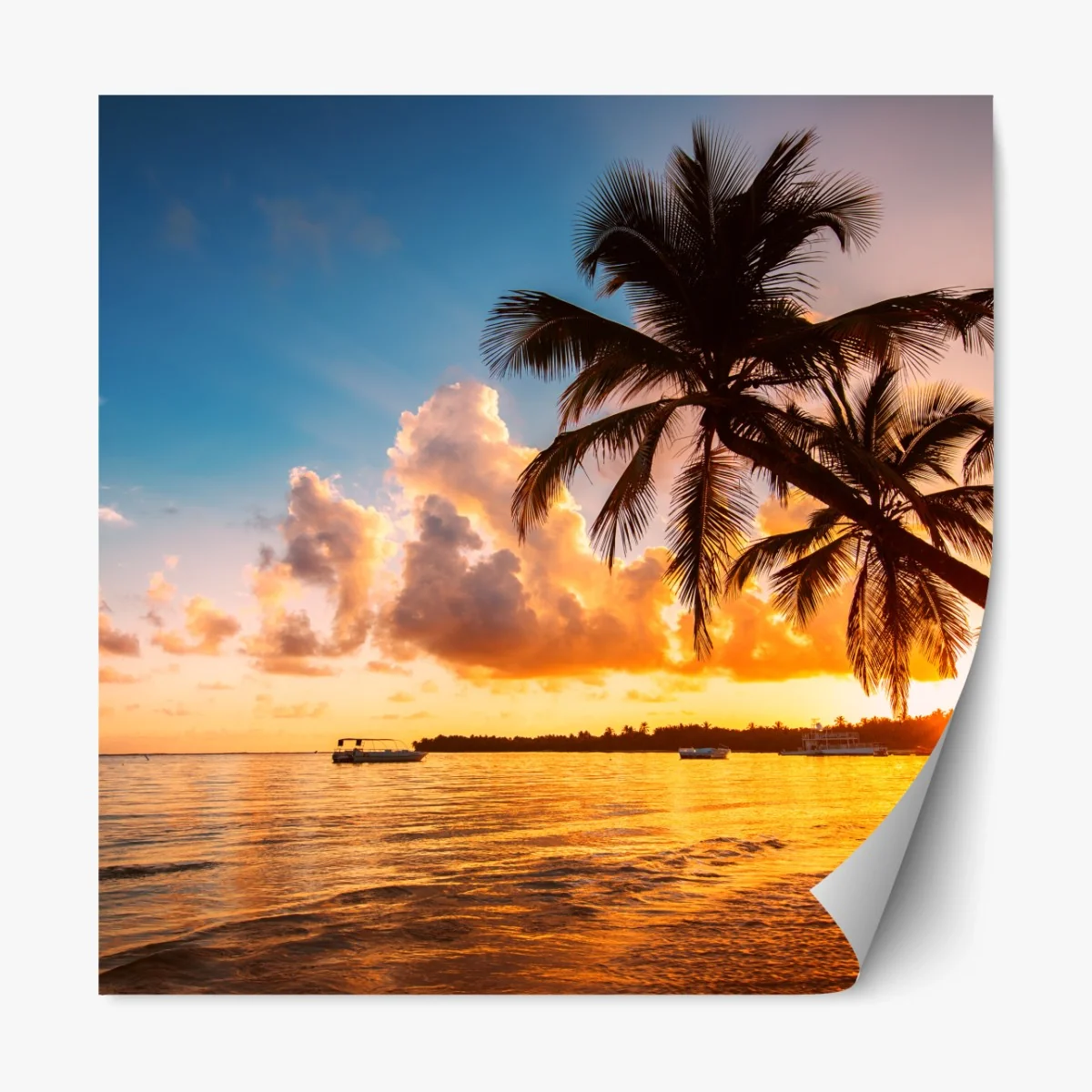 Repositionierbarer Aufkleber tropischer sonnenuntergang mit palmensilhouetten, Dominikanische Republik – Wallnifity® Repositionierbarer Aufkleber tropischer sonnenuntergang mit palmensilhouetten, Dominikanische Republik – Wallnifity®