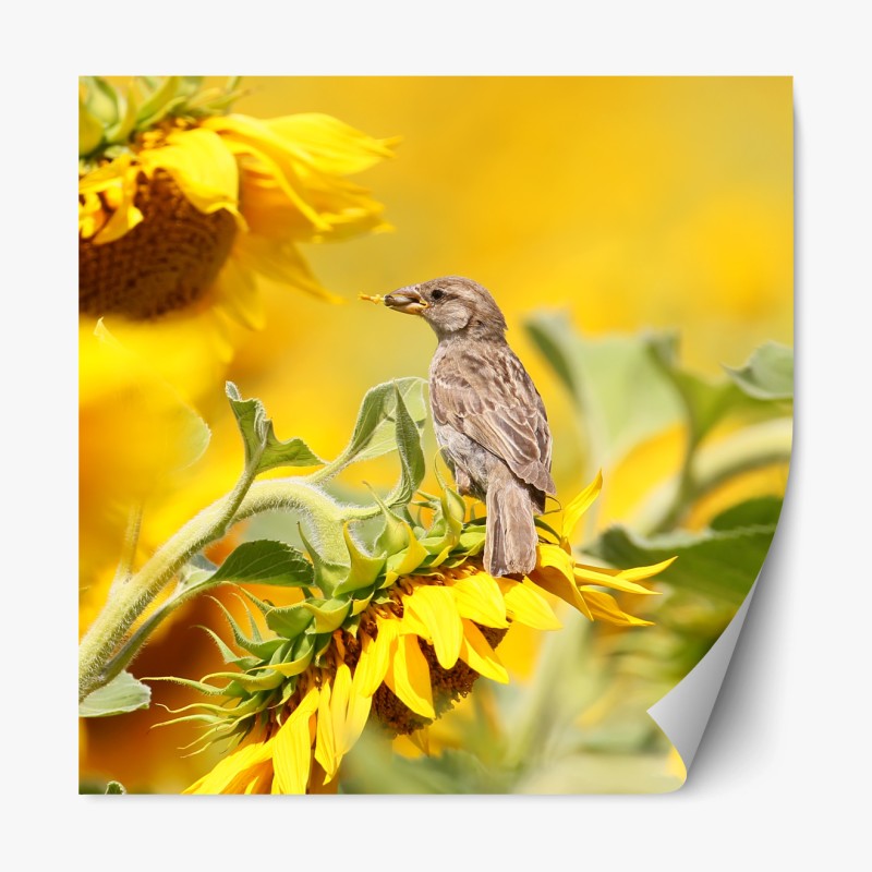 Repositionierbarer Aufkleber sonnenblumenstrauß auf schwarzem hintergrund – Wallnifity®