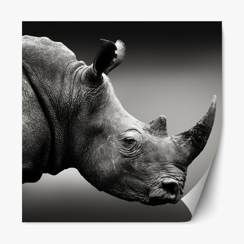 Repositionierbarer Aufkleber ruhige grüne waldkrone – Wallnifity®