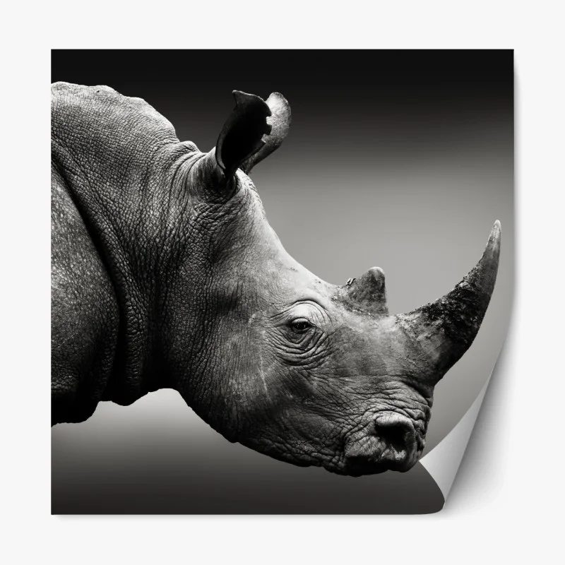 Repositionierbarer Aufkleber majestätisches nashornporträt