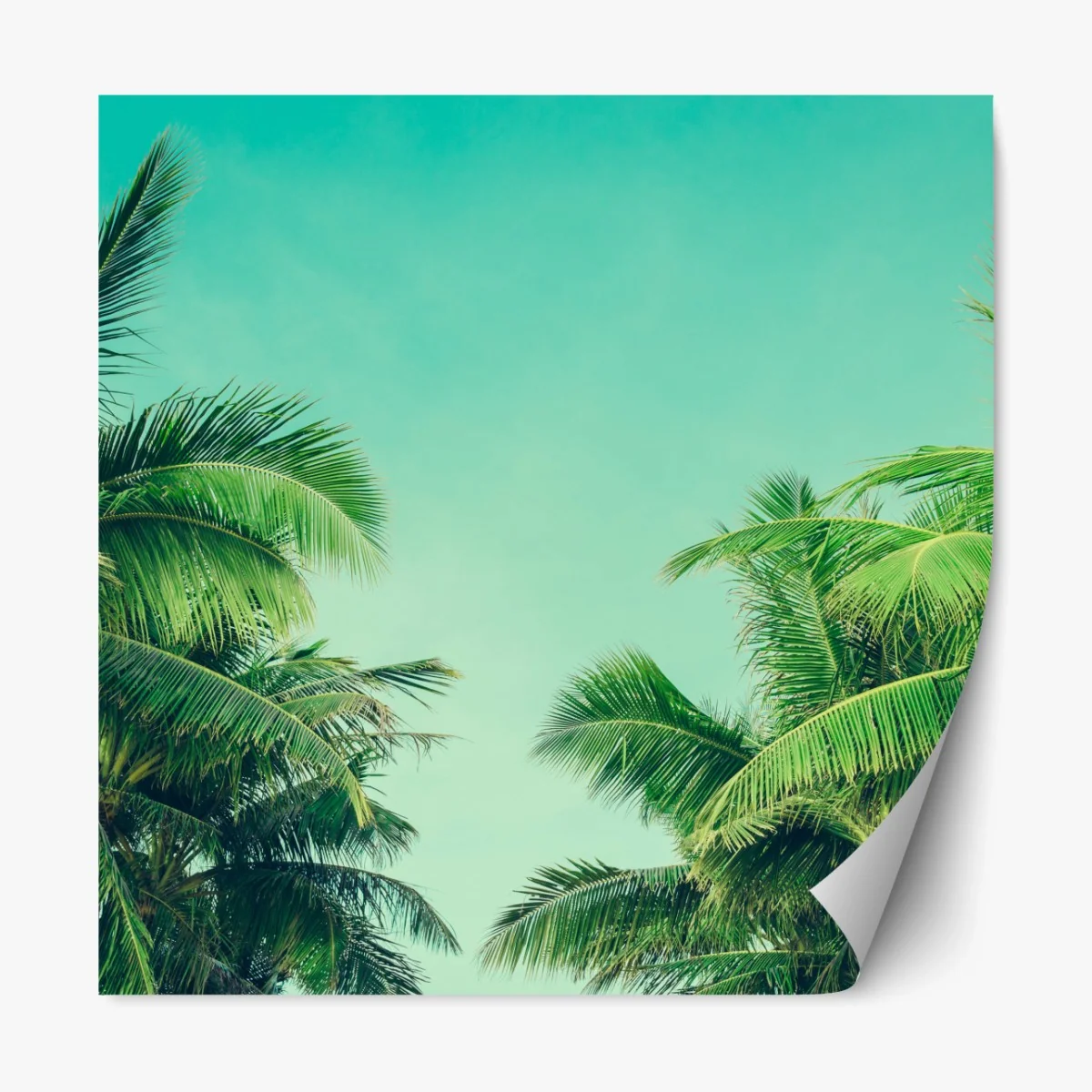 Repositionierbarer Aufkleber tropisches palmendach unter türkisfarbenem himmel – Wallnifity® Repositionierbarer Aufkleber tropisches palmendach unter türkisfarbenem himmel – Wallnifity®