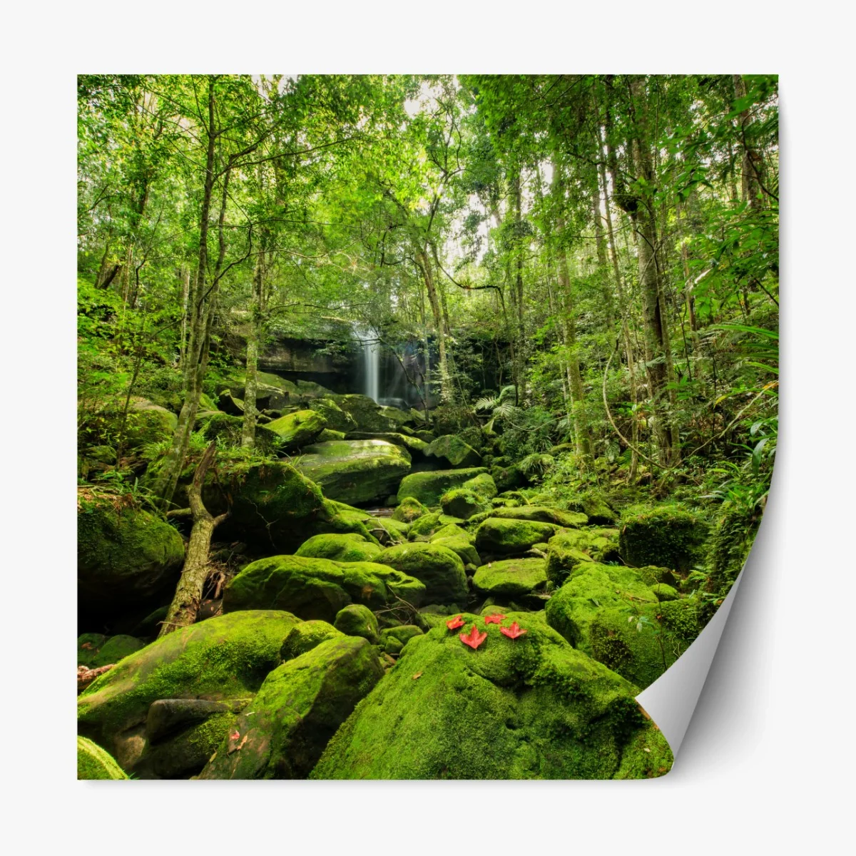 Repositionierbarer Aufkleber üppiger moosbewachsener wasserfall im tropischen wald – Wallnifity® Repositionierbarer Aufkleber üppiger moosbewachsener wasserfall im tropischen wald – Wallnifity®