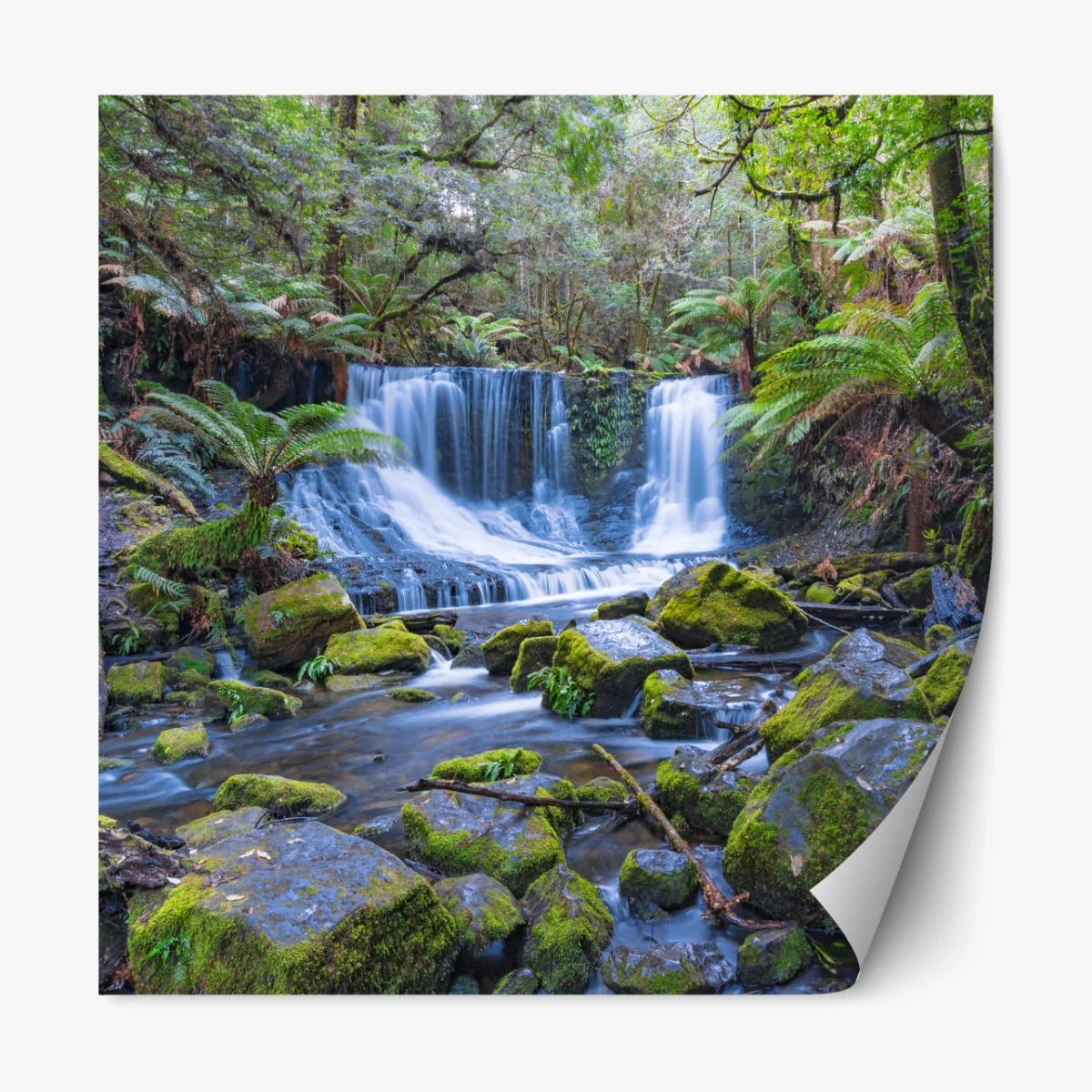 Repositionierbarer Aufkleber friedlicher waldwasserfall – Wallnifity® Repositionierbarer Aufkleber friedlicher waldwasserfall – Wallnifity®