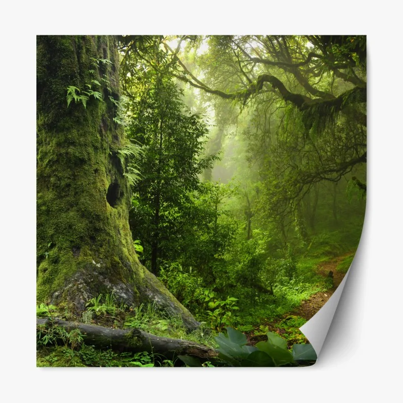 Repositionierbarer Aufkleber vereister see im dämmerlicht mit waldspiegelung – Wallnifity®